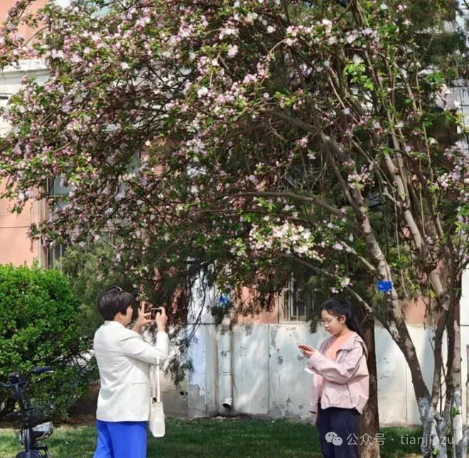 “五大道”继续限行！事关海棠花节天津最新通告！凌晨又地震！下周28℃！在天津(图14)